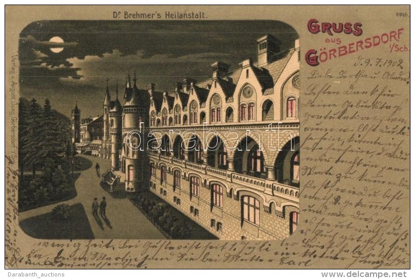 T2/T3 Sokolowsko, G&ouml;rbersdorf; Dr. Brehmer's Heilanstalt / Spa Sanatorium. August Jung's Litho - Non Classés