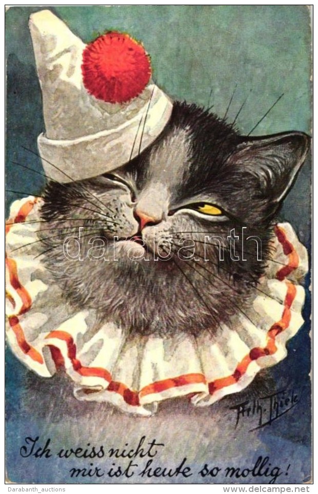 T2 Ich Weiss Nicht Mir Ist Heute So Mollig! / Cat Clown. T.S.N. Serie 710. S: Arthur Thiele - Sin Clasificación