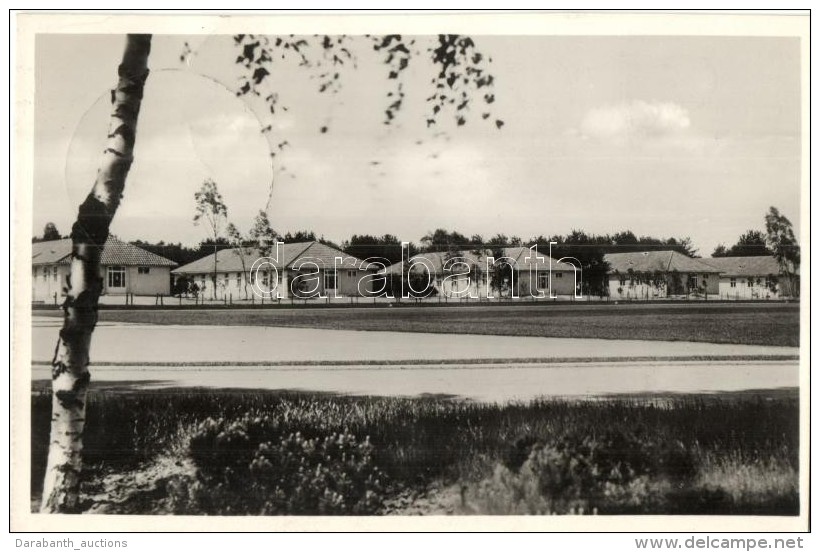 * T1/T2 1936 Berlin, Olympische Dorf, Wohnh&auml;user Am Sportplatz / Olympic Village, Houses And Sport Field, So.... - Sin Clasificación