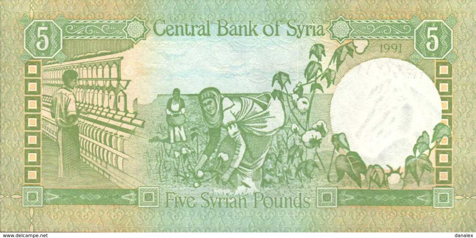 SYRIE 5 LIVRES De 1982   Pick 100c  UNC/NEUF - Syria