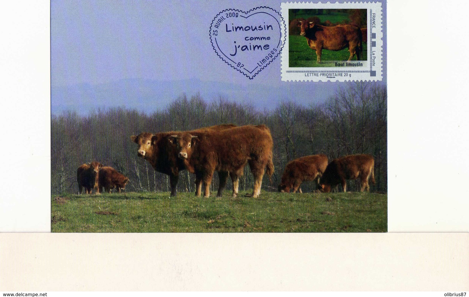FDC Race Bovine Limousine Limoges Vaches Collection "Limousin Comme J'aime" Oblitérée à Limoges - Limoges