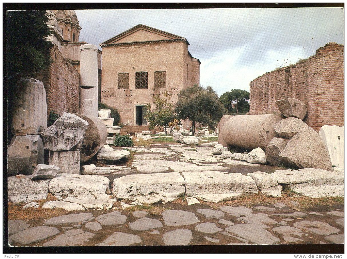 CPM Neuve Italie ROMA Foro Romano La Curia - Chiese