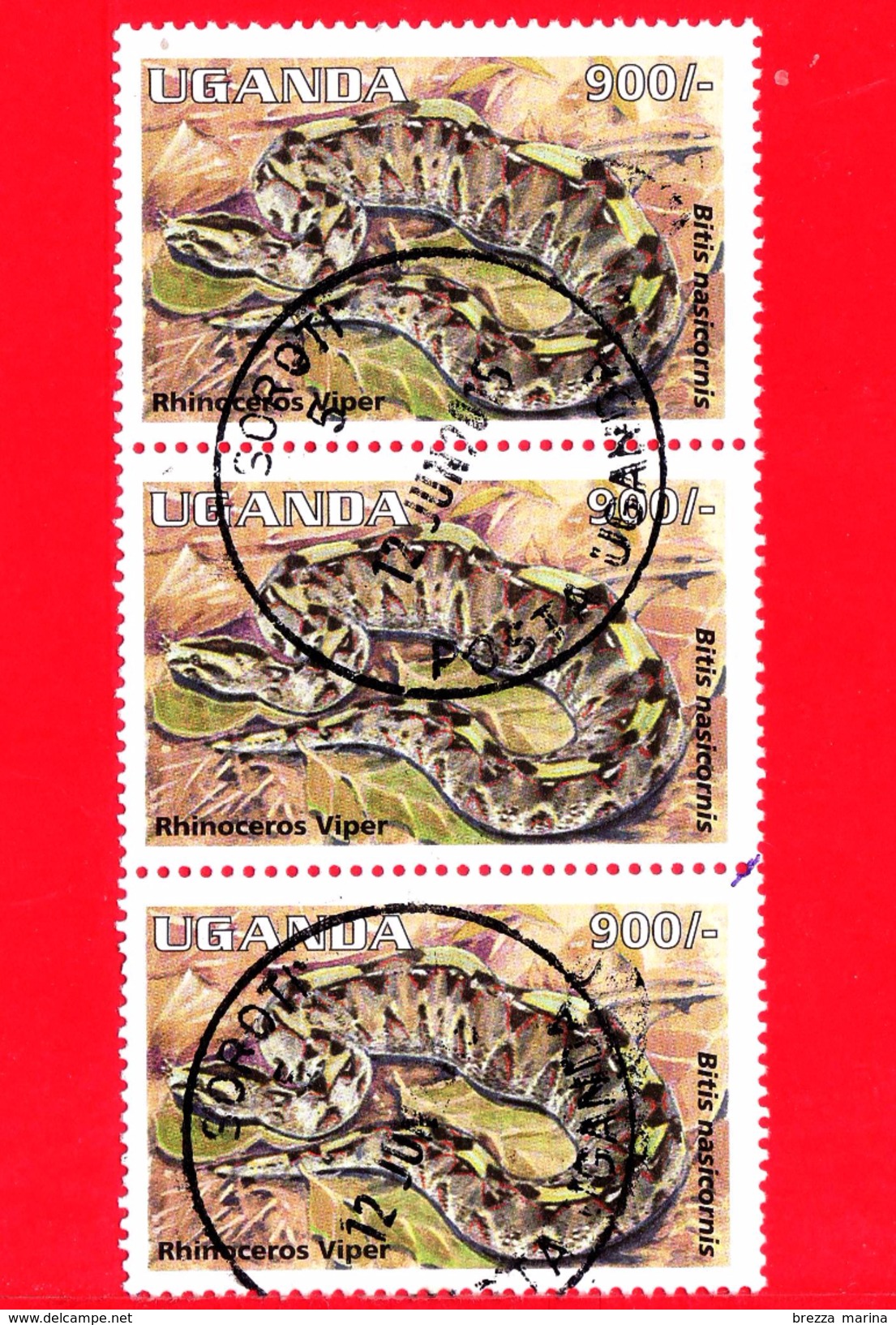 UGANDA - Usato - 1995 - Rettili - Serpenti - Vipera - Rhinoceros Viper - 900 - Uganda (1962-...)