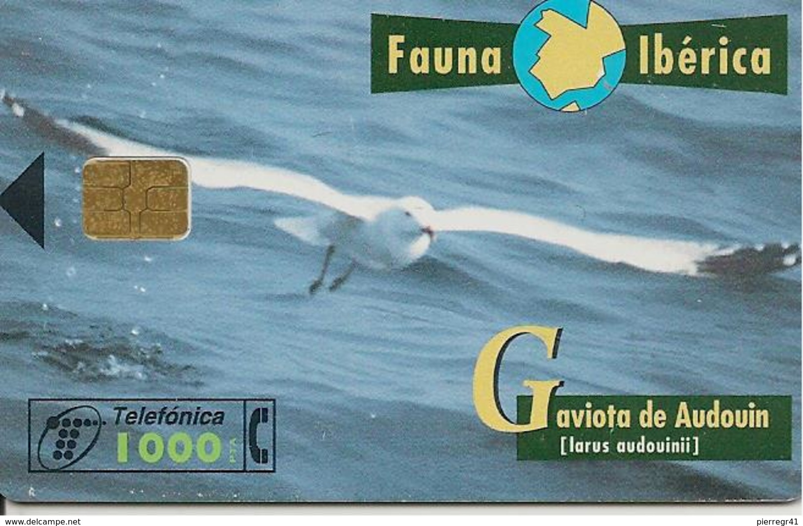 CARTE-PUCE-ESPAGNE-08/98--OISEAU-MOUETTE-TBE - Passereaux