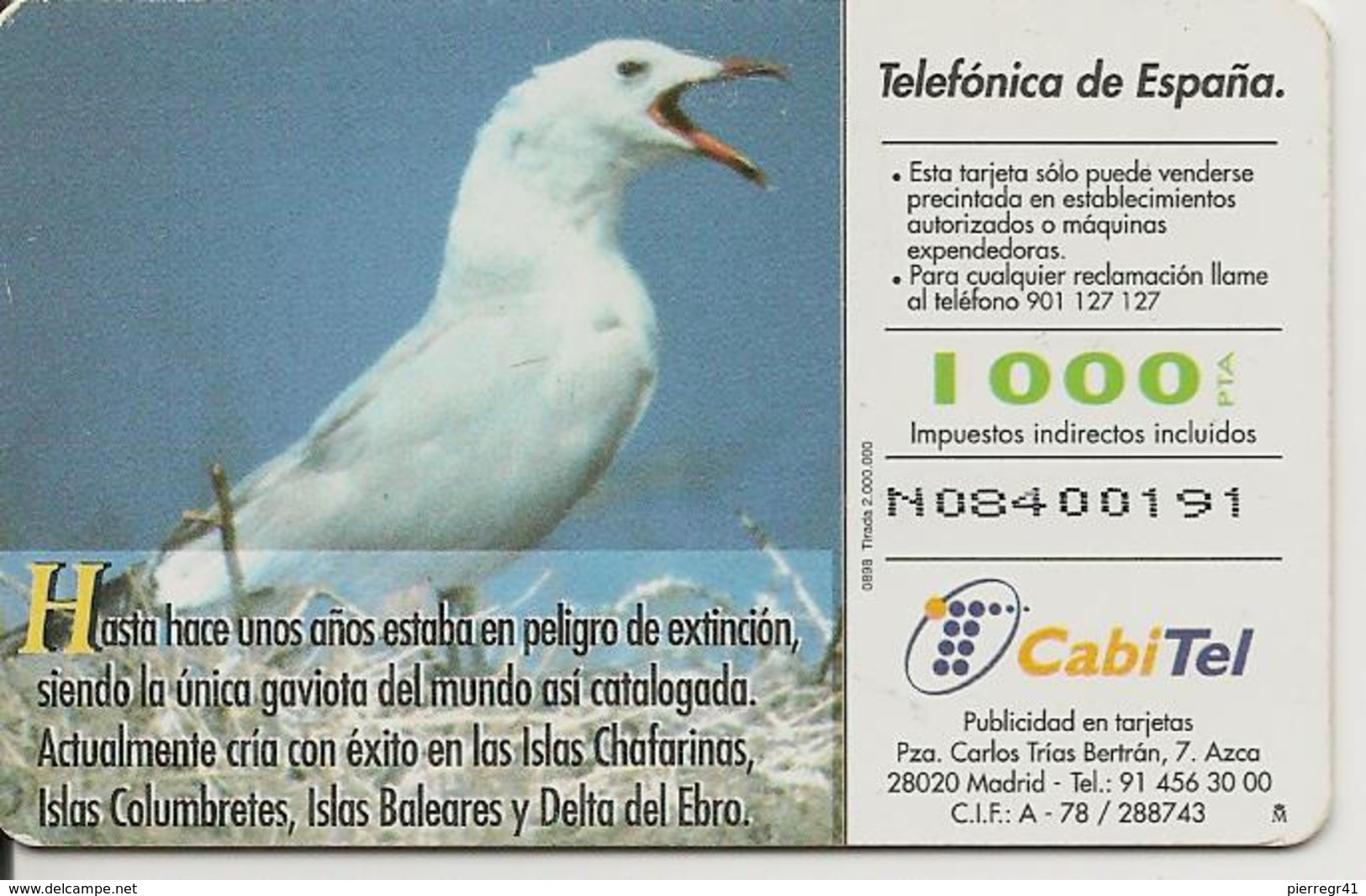 CARTE-PUCE-ESPAGNE-08/98--OISEAU-MOUETTE-TBE - Sperlingsvögel & Singvögel