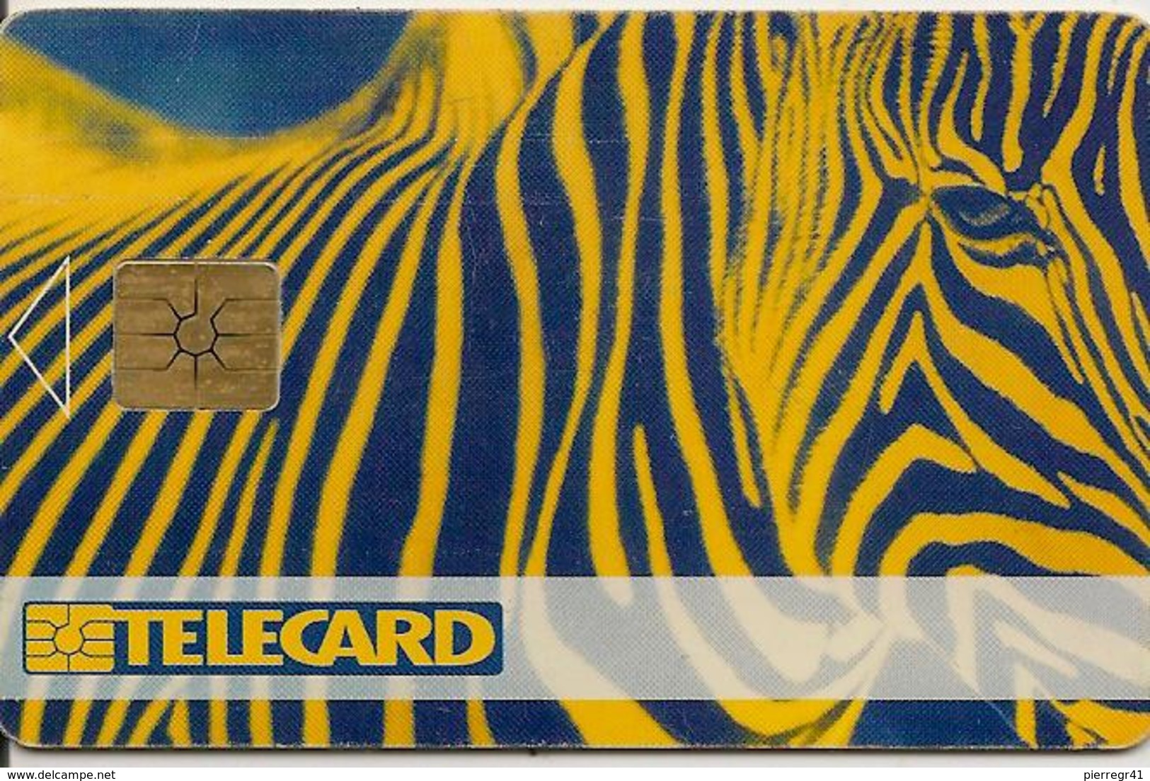 CARTE-PUCE-TECHQUE--1996-ZEBRE-TBE - Chevaux