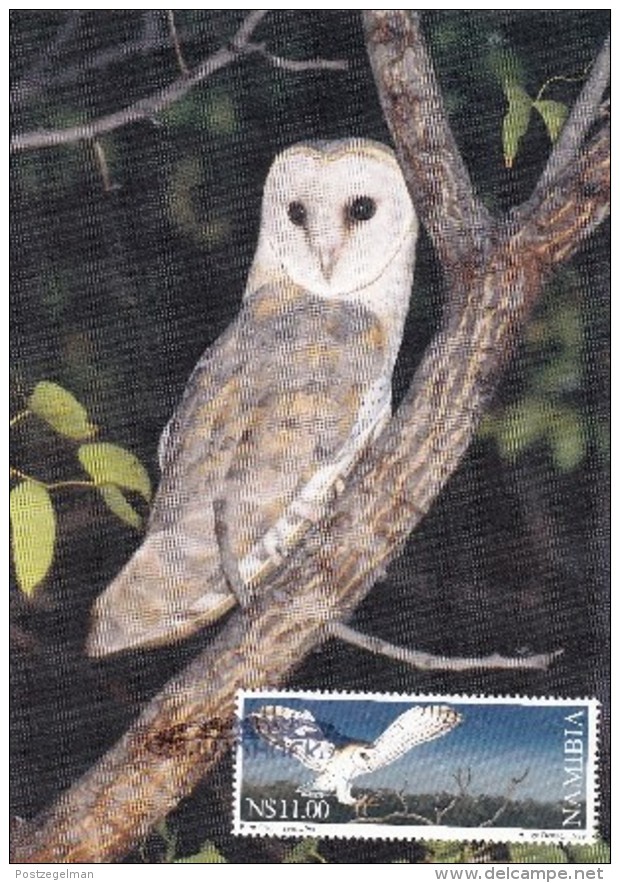 NAMIBIA, 1999, Mint Maxi Card , Barn Owl, Sa313, F3838 - Namibia (1990- ...)
