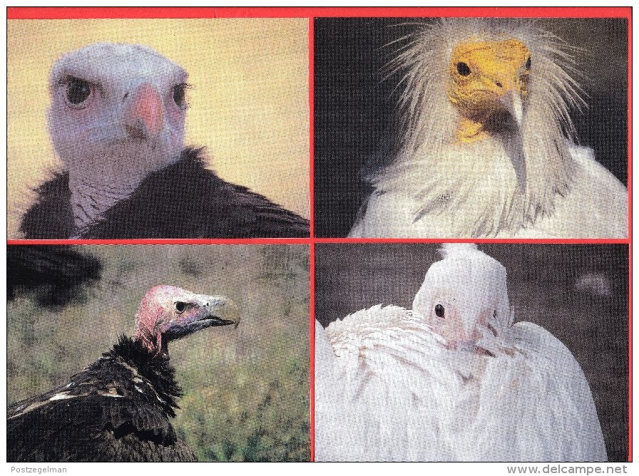 NAMIBIA,  Mint Maxi Card S (without Stamps), Big Birds Of Namibia,   F3842a+b - Namibië (1990- ...)