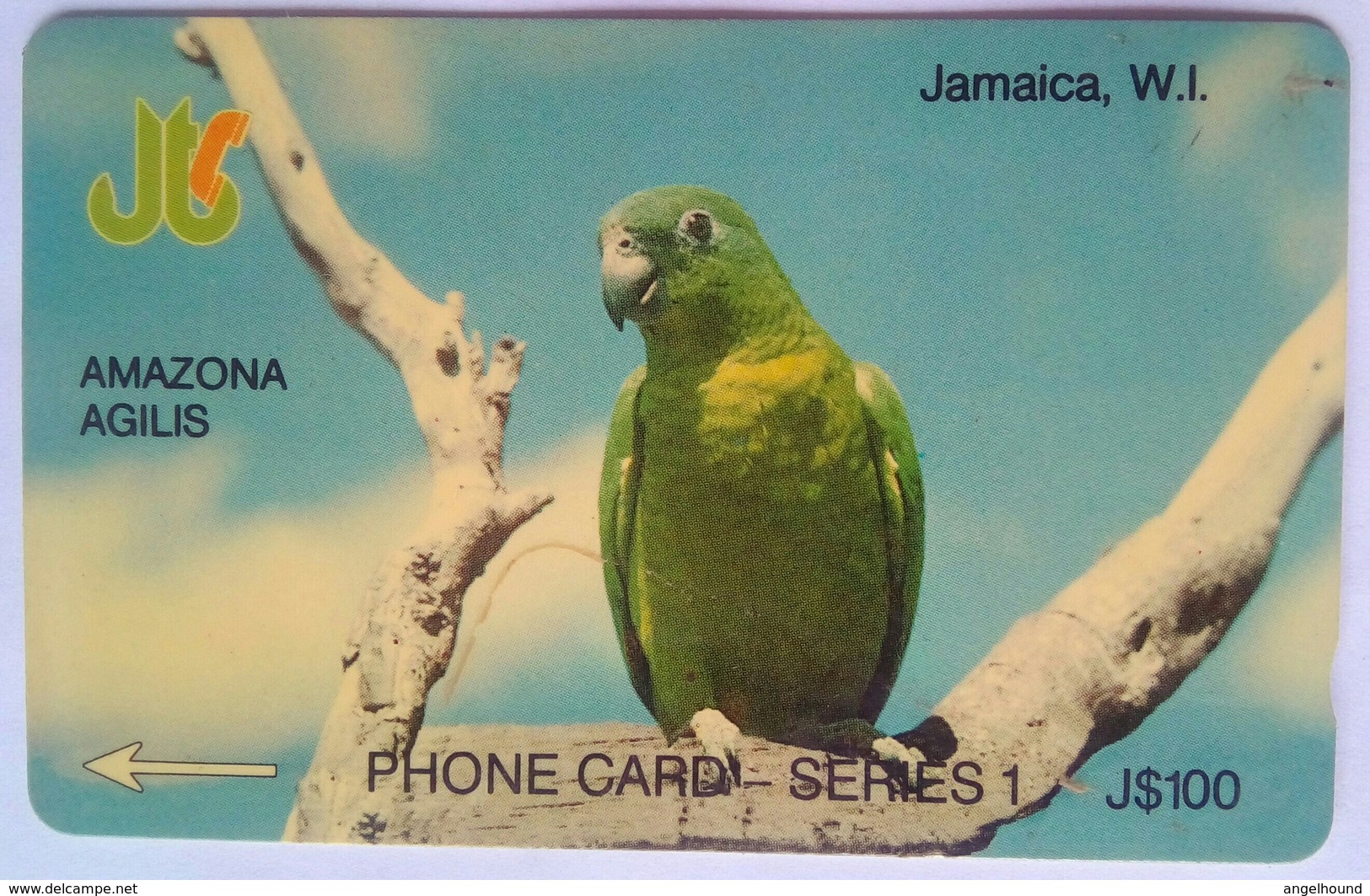 Jamaica J$100  8JAMA "  Amazona Agilis " - Jamaïque