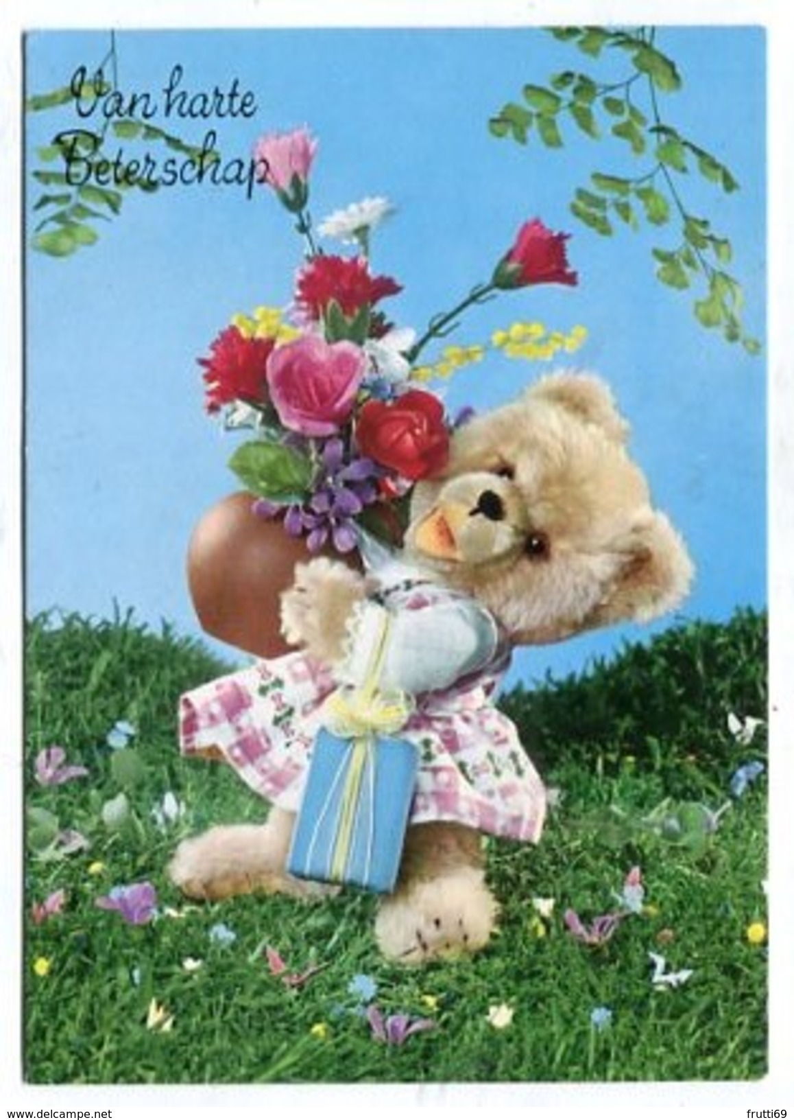 BEAR - AK298551 Teddy Bear - Bears