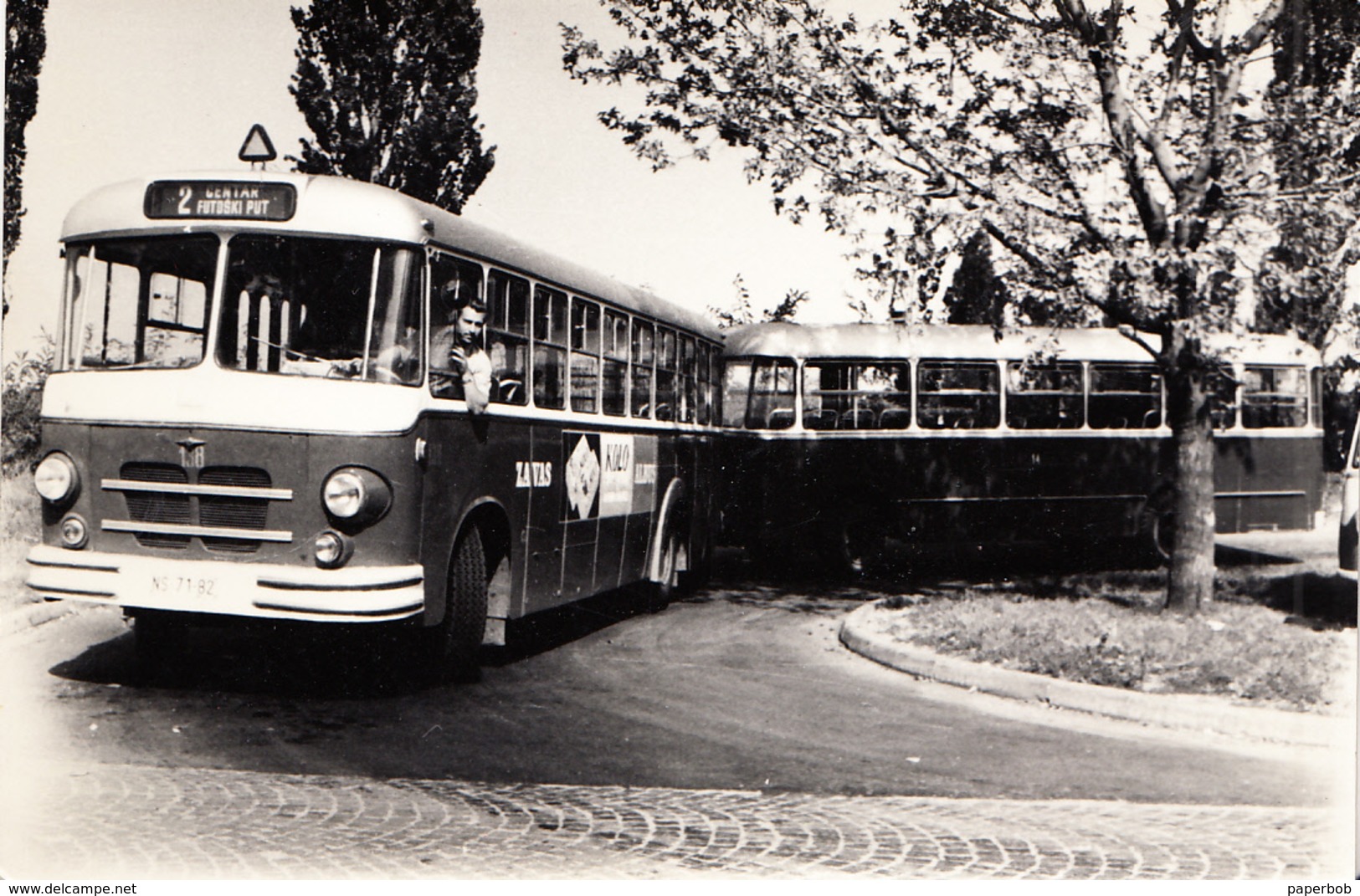 BUS-SERBIA 1950th - Autobus & Pullman