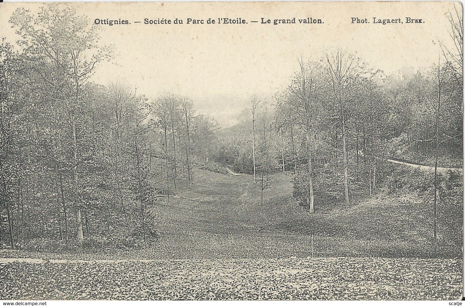 Ottignies.  -   Société Du Parc De L'Etoile.  -  La Grand Vallon - Ottignies-Louvain-la-Neuve