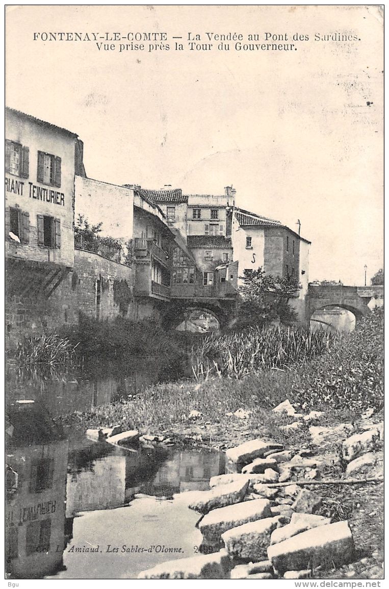 Fontenay Le Comte (85) - La Vendée Au Pont Des Sardines - Vue Prise Près La Tour Du Gouverneur - Fontenay Le Comte