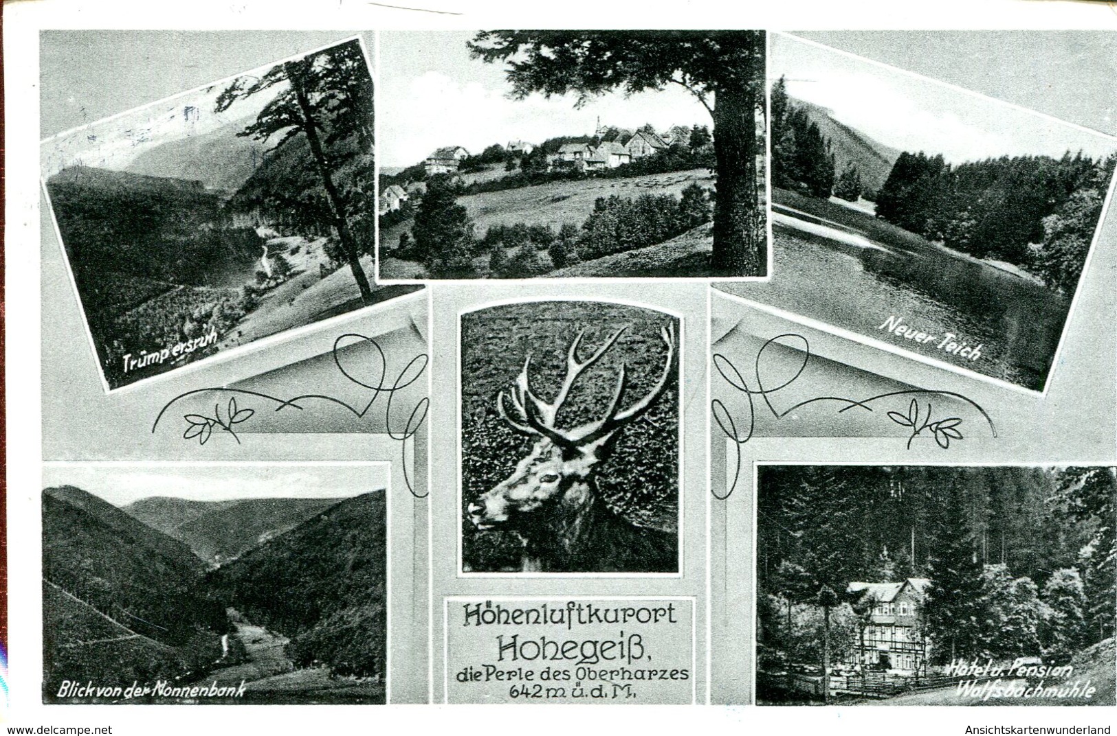 Höhenluftkurort Hohegeiss - Mehrbildkarte 1957 (000019) - Braunlage