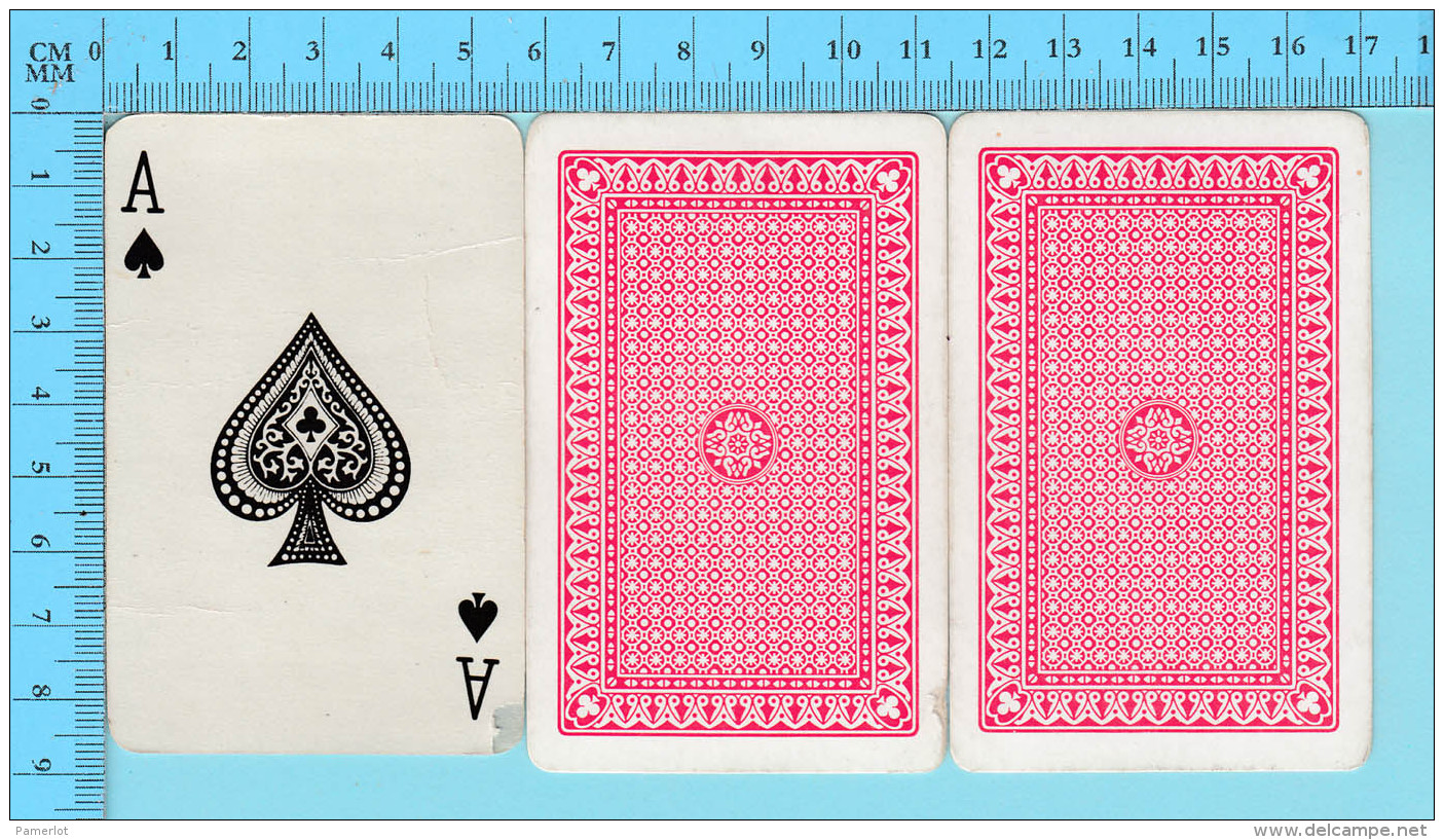 Cartes à Jouer - 2 Joker + As De Pique, Animal Foque - Arriere Clasique - 2 Scans - Cartes à Jouer Classiques