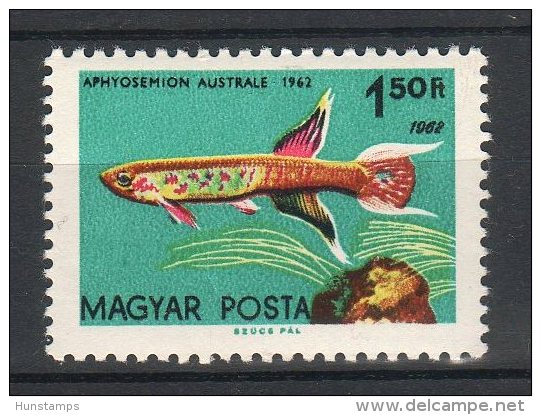 Hungary 1962. ERROR: Animals / Fishes Stamp 1962. Year 2x MNH (**) Michel: 1827IA / 1.70 EUR - Unused Stamps