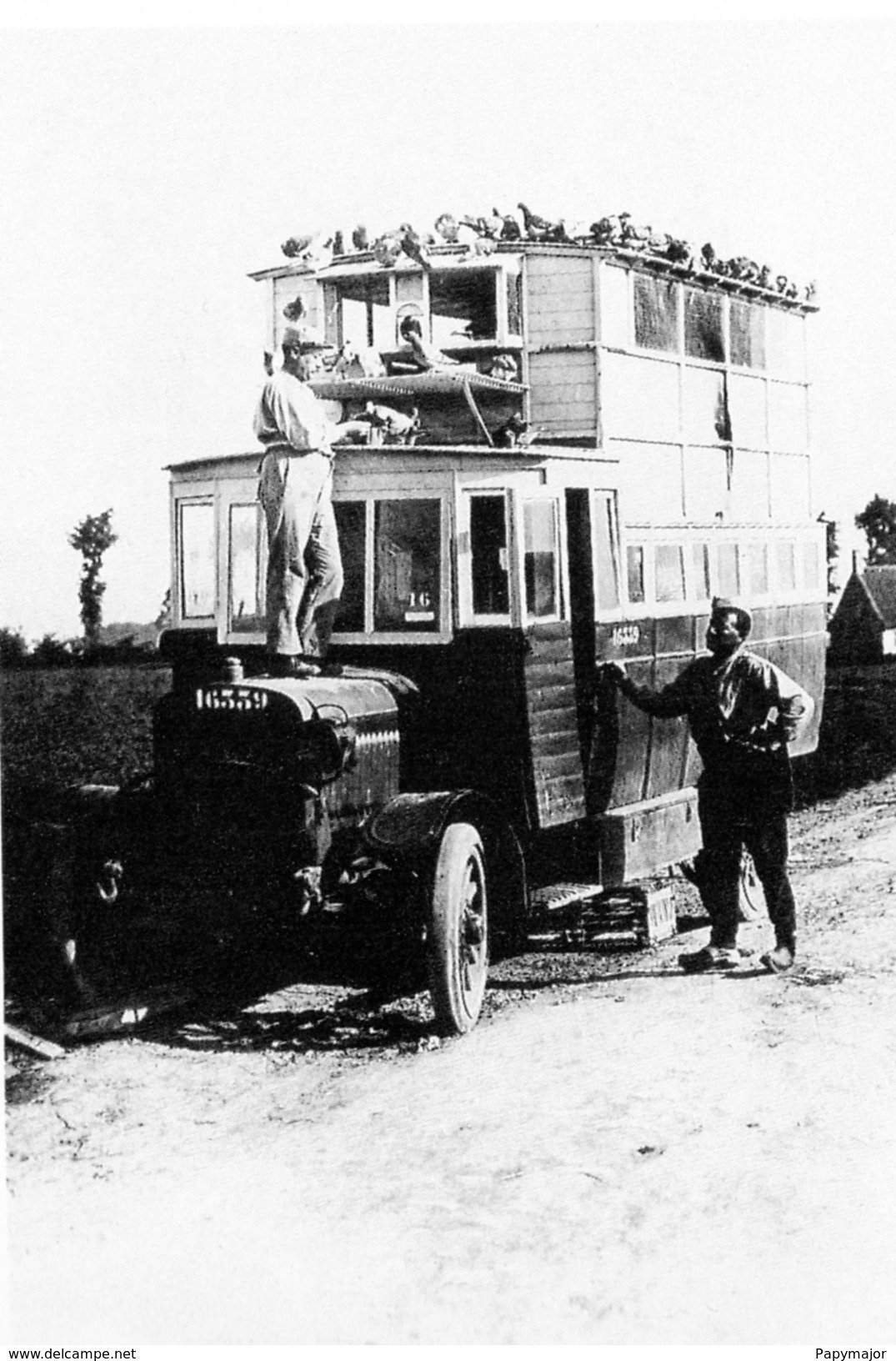 Militaria WW1 - Colombier Militaire Sur Le Toit D'un Camion - 1914-18