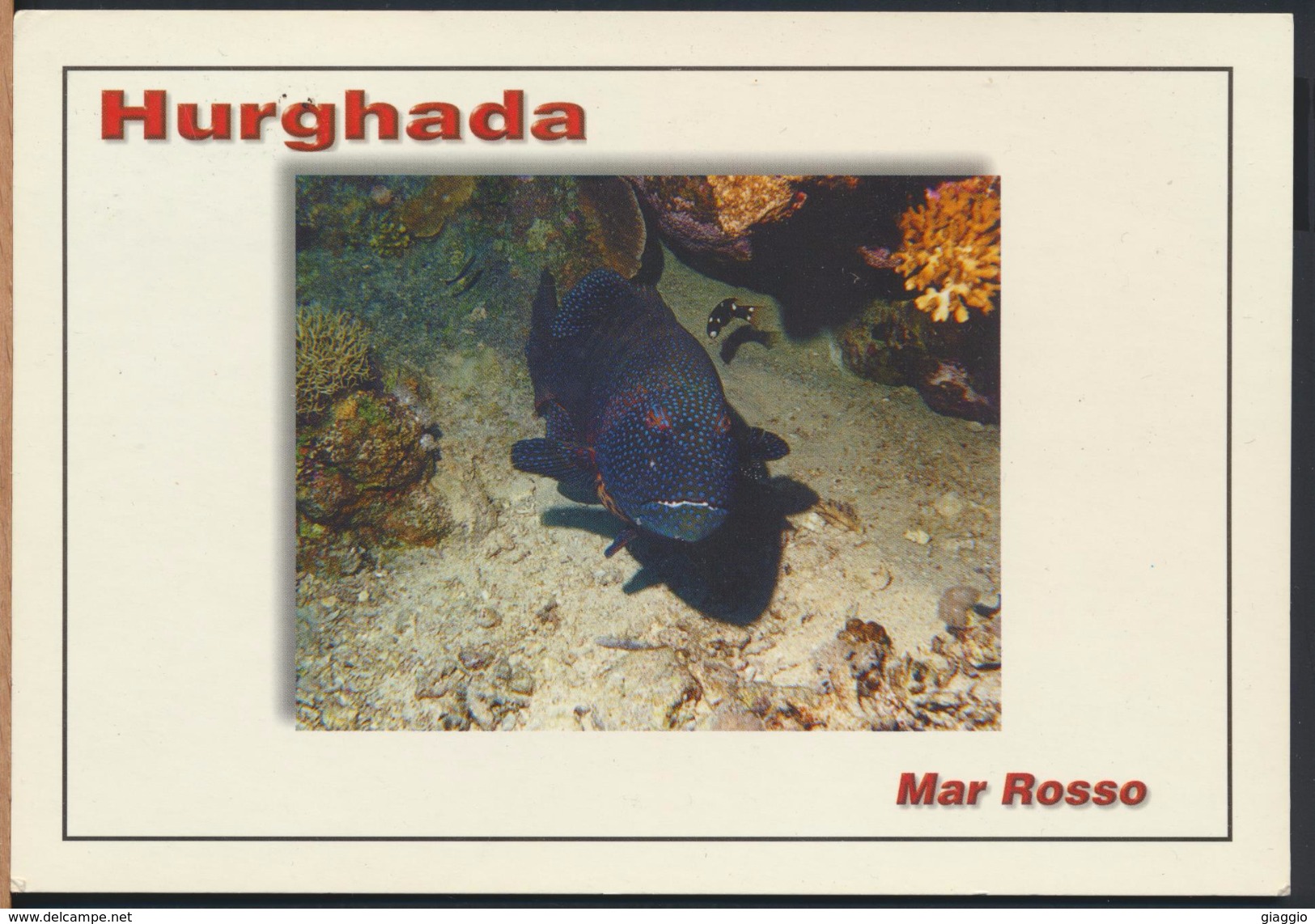 °°° GF226 - EGYPT - HURGHADA - With Stamps °°° - Hurgada