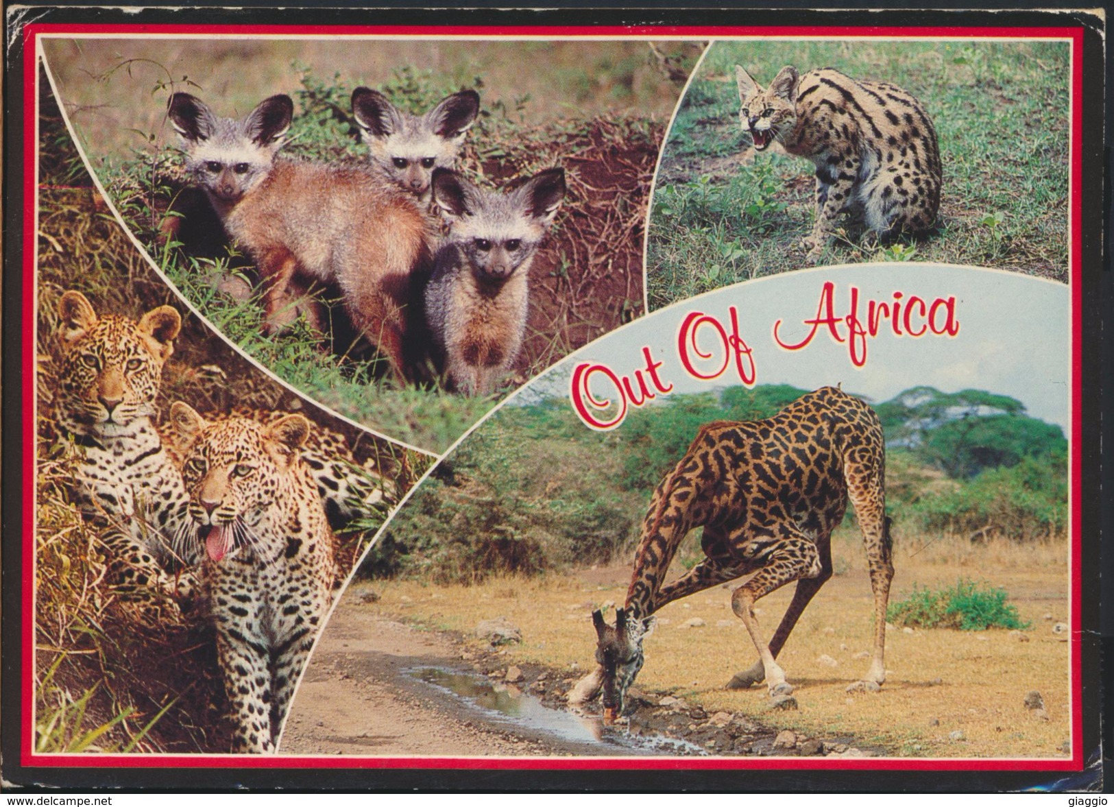 °°° GF239 - UGANDA - OUT OF AFRICA - 1998 With Stamps °°° - Uganda