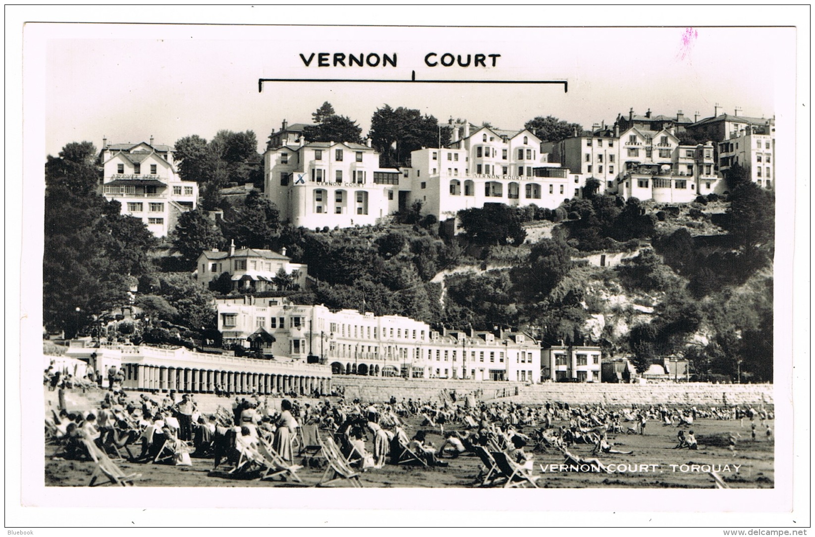 RB 1153 - Real Photo Postcard - Vernon Court Torquay Devon - Do You Live Here? - Torquay