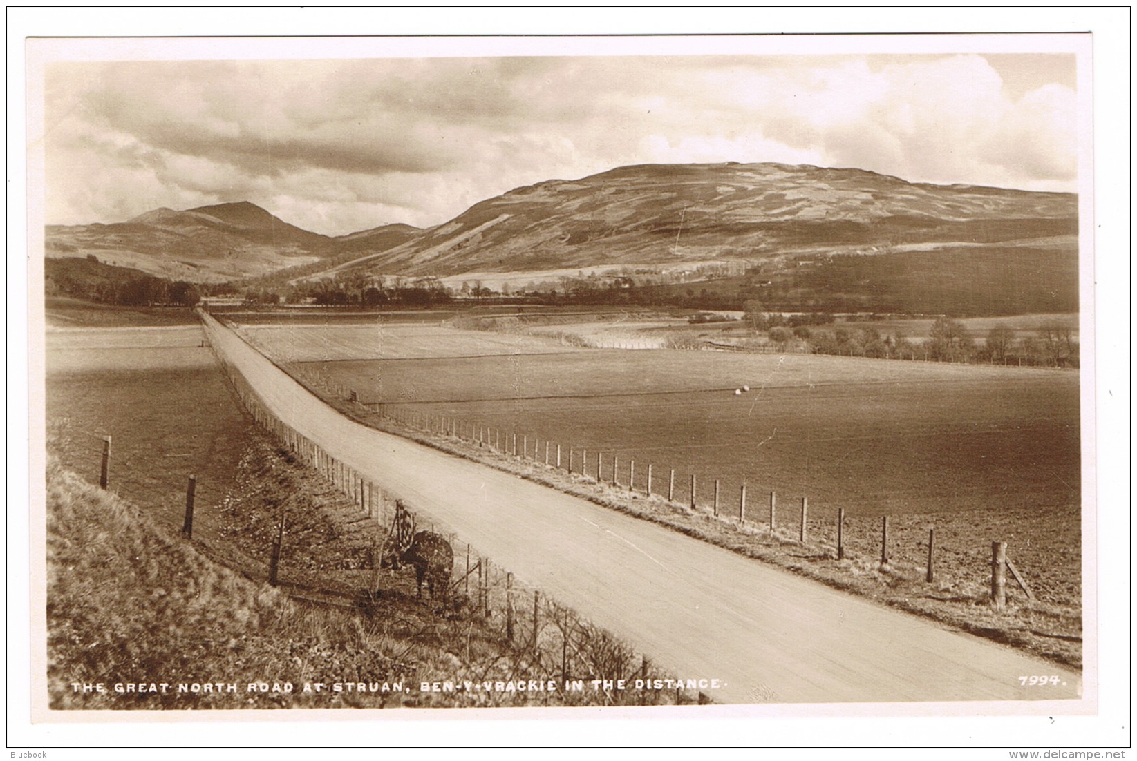 RB 1153 - Real Photo Postcard - Great North Road At Struan &amp; Ben-y-Vrackie - Perthshire Scotland - Perthshire