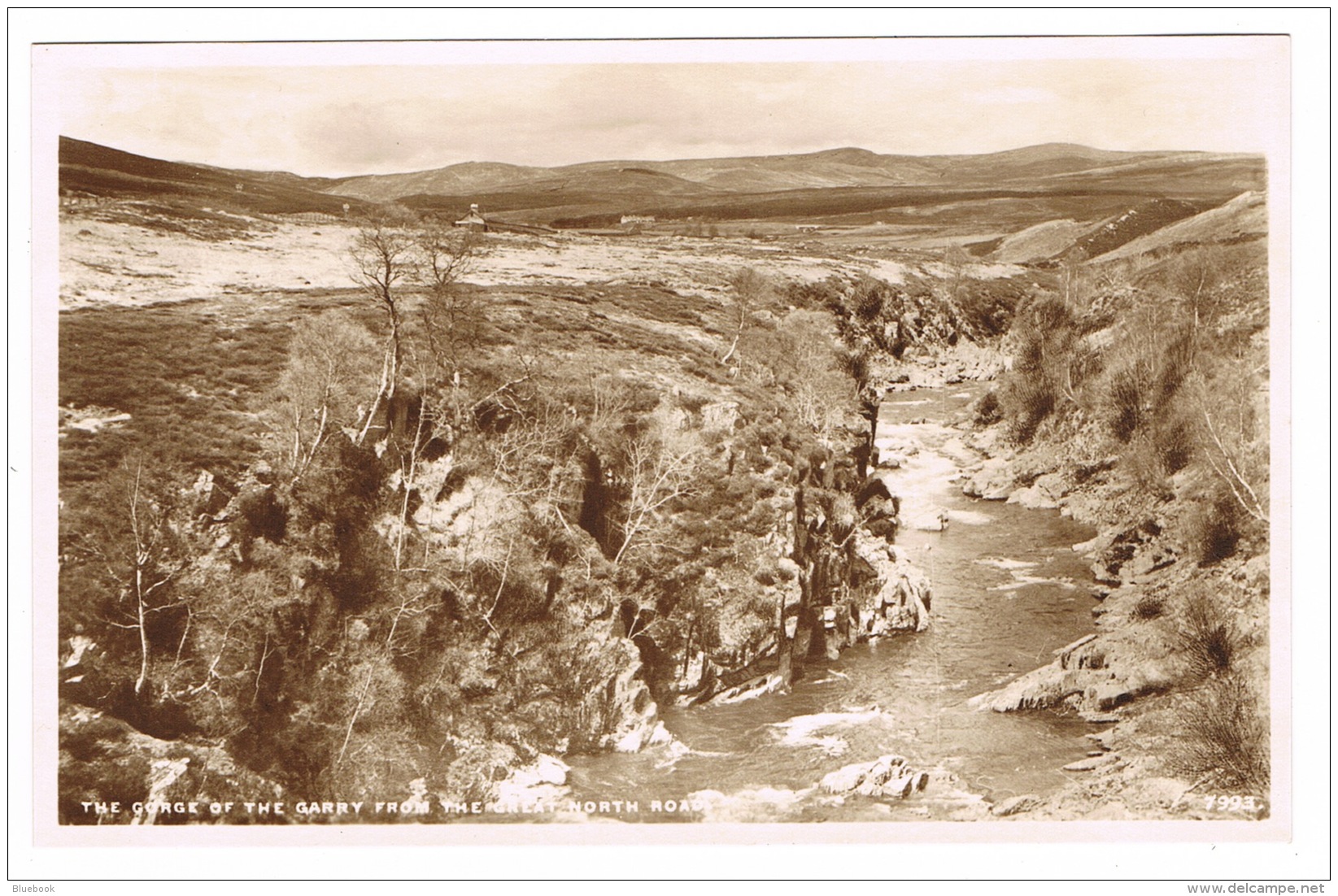 RB 1153 - Real Photo Postcard - River Garry Gorge From Great North Road Inverness-shire Scotland - Inverness-shire
