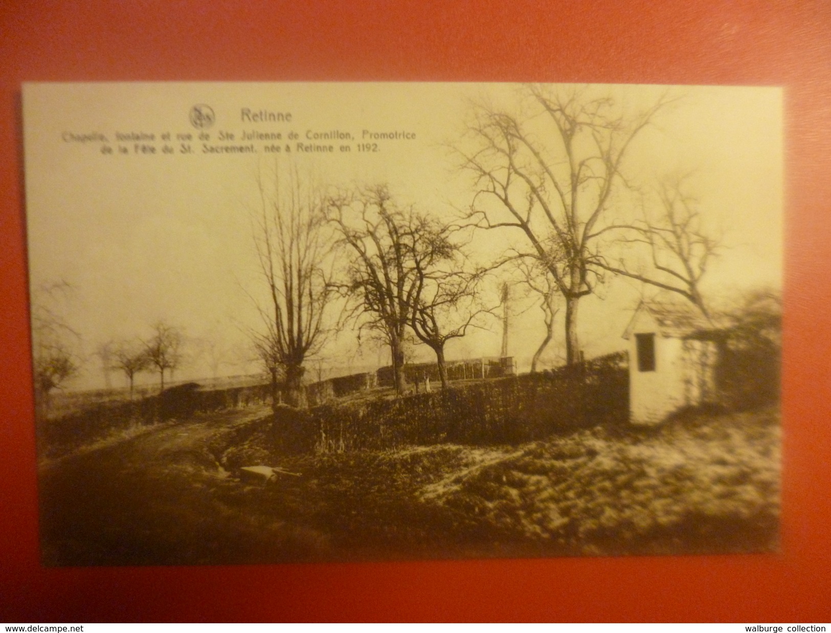 Retinne :Chapelle, Fontaine Et Rue Sainte Julienne De Cornillon (R27) - Fléron