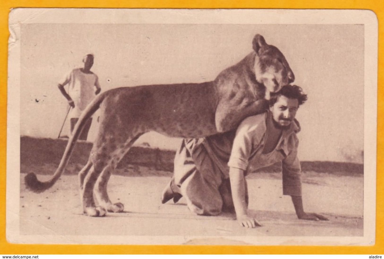 1942 - CP De Gao, Mali, Soudan Français Vers Vichy - Affrt 1 Franc - Vue Lionceau Avec Son Maître - 2e Guerre - WW2 - Lettres & Documents