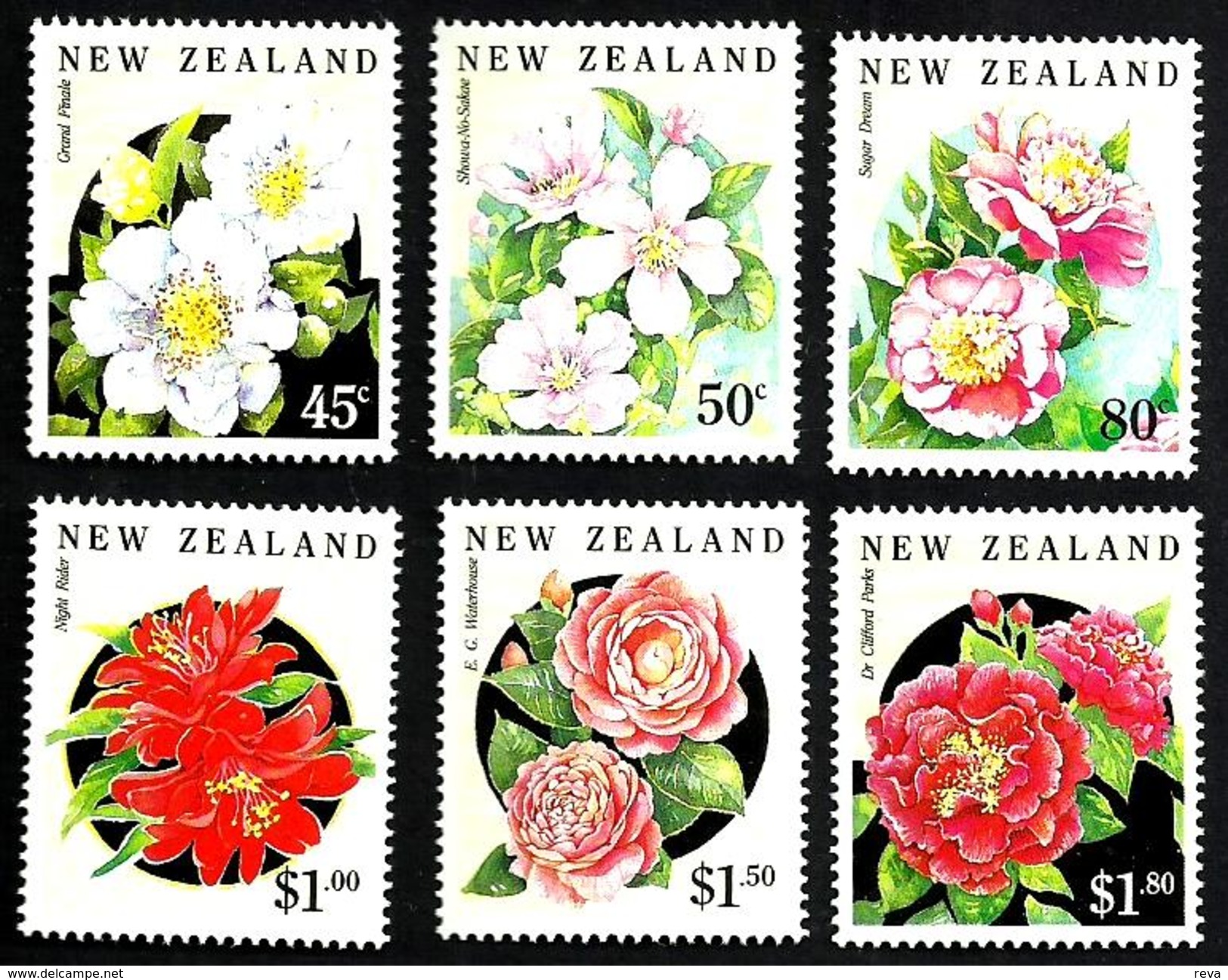 NEW ZEALAND  FLOWERS FLORA SET OF 6 45 CENTS -$1.80  MINTNH 1992 SG1681-86 READ DESCRIPTION !! - Neufs