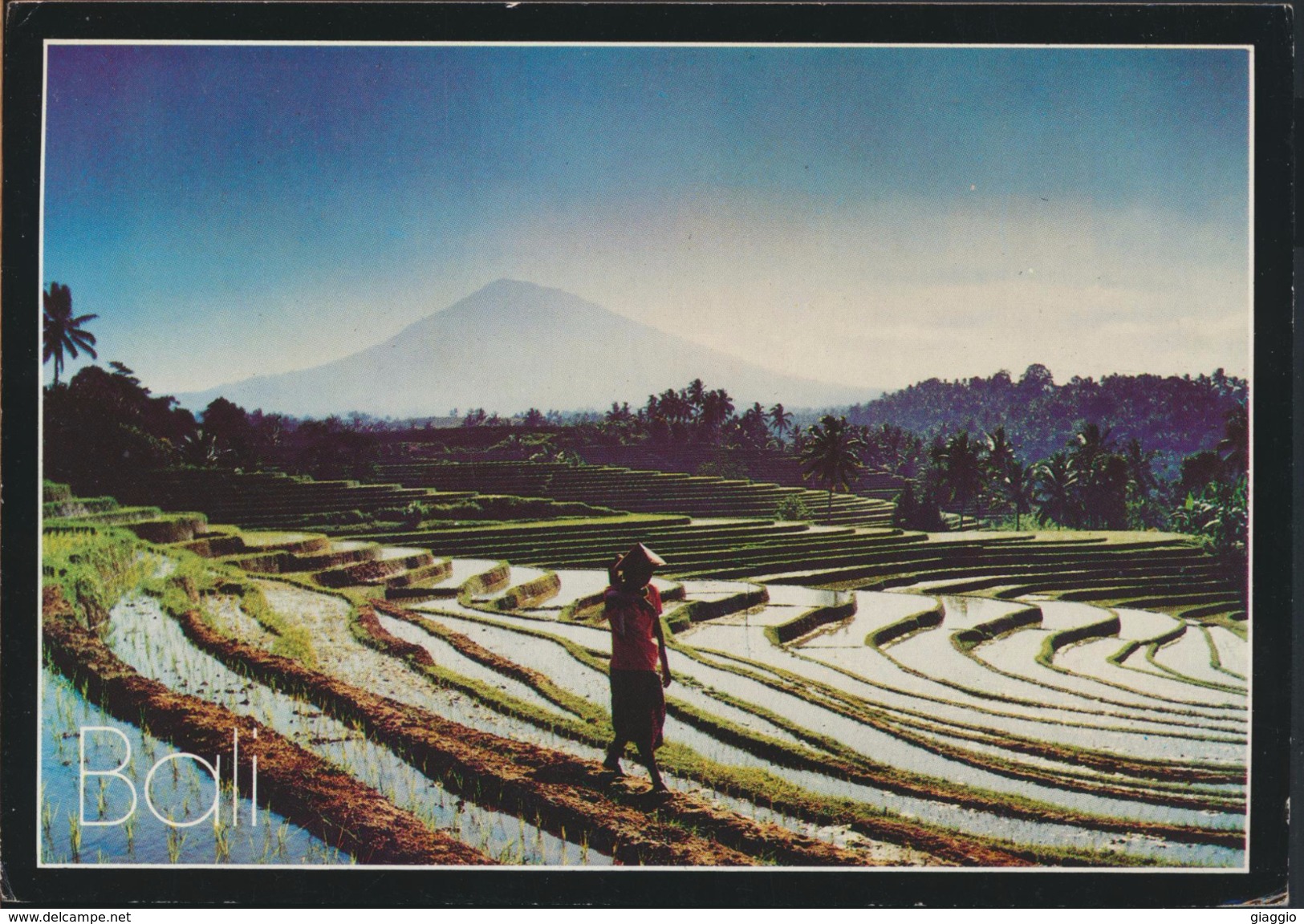 °°° GF250 - INDONESIA - RICE FIELDS - With Stamps °°° - Indonesia