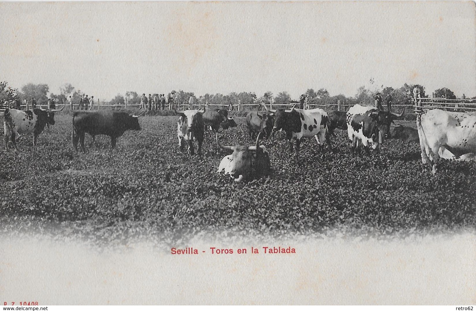 SEVILLA &rarr; Toros En La Tablada, Union Postal Universal Ca.1900 - Sevilla