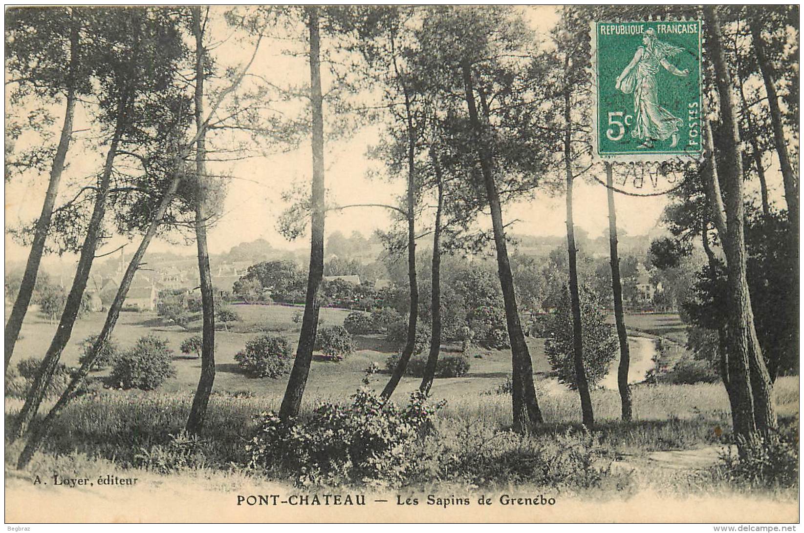 PONTCHATEAU           LES SAPINS DE GRENEBO - Pontchâteau