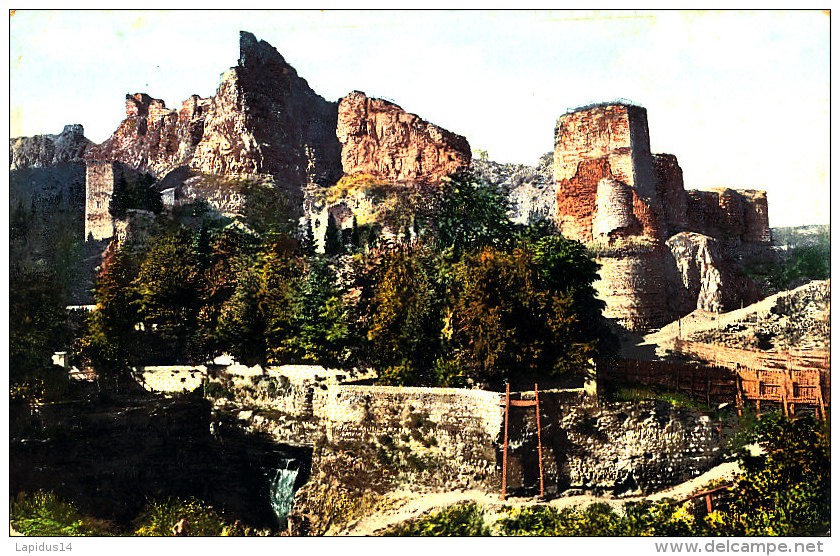 AF 133-RUSSIE  ASIE GEORGIE TIFLIS TBILISI -LE  JARDIN BOTANIQUE ET LA VIEILLE FORTERESSE - Géorgie