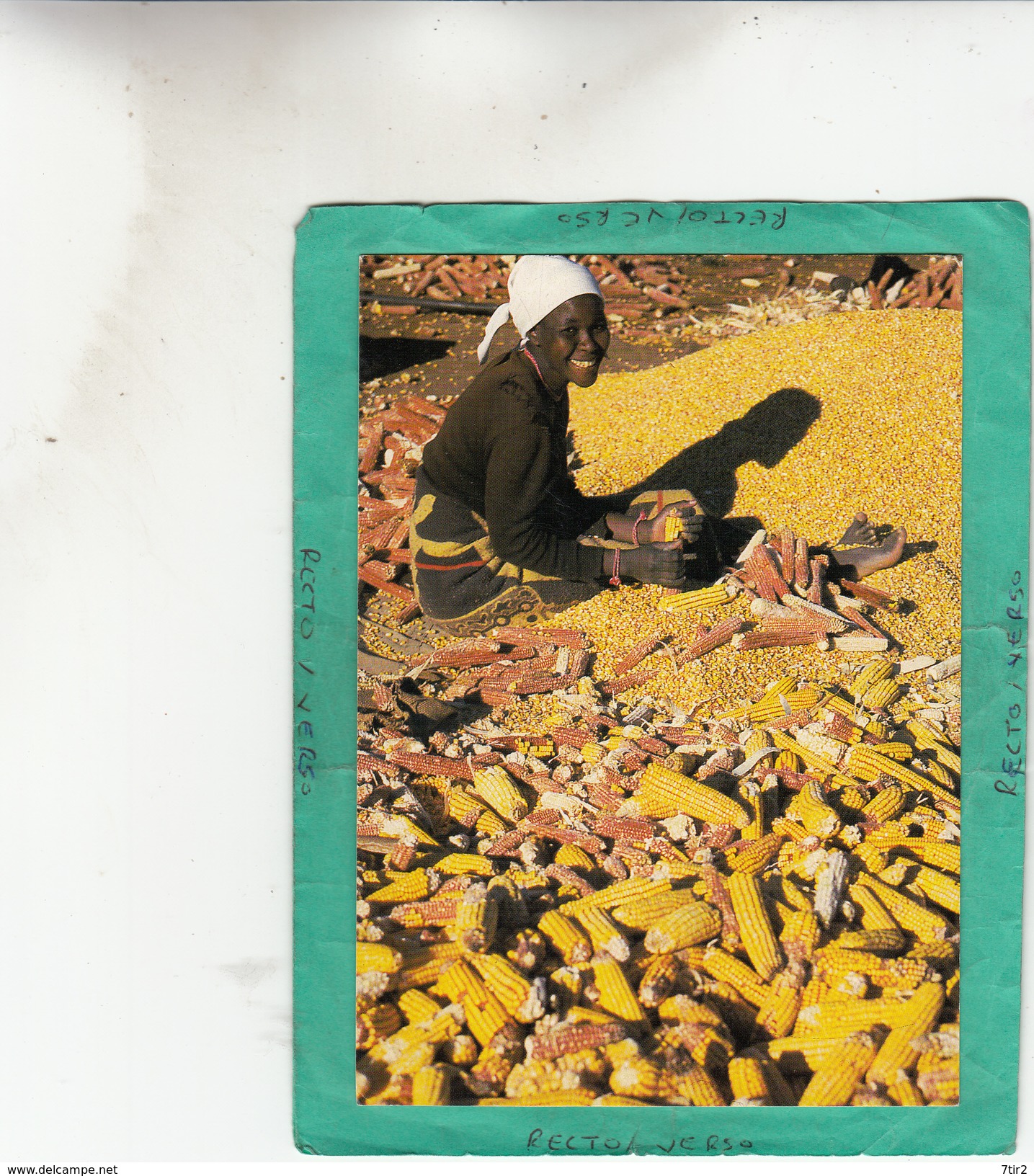 LESOTHO MAIZE HARVEST NEAR NAZARETH - Lesotho