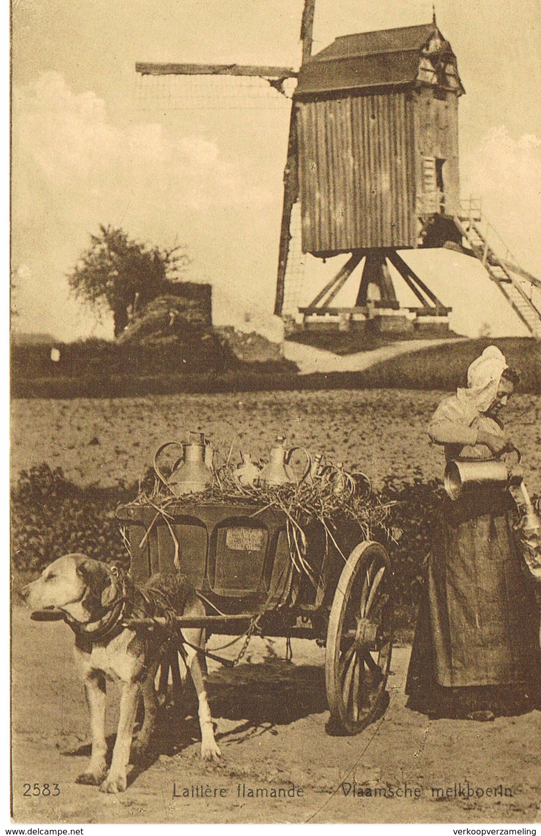 A  Laitiere Flamandes Vlaamse Melkboerinnen - Artisanat