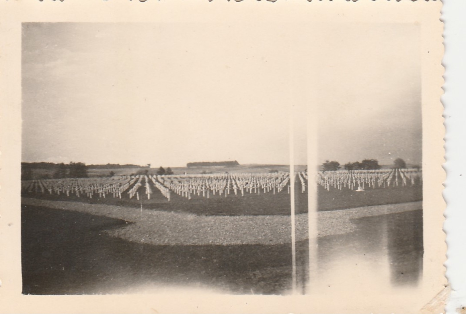 FOY ,Noville-lez-Bastogne , Cimetière Américain ,Guerre 1940-1945 ,Offensive Des Ardennes,photo 8,7 X 6,1 Cm - Bastenaken