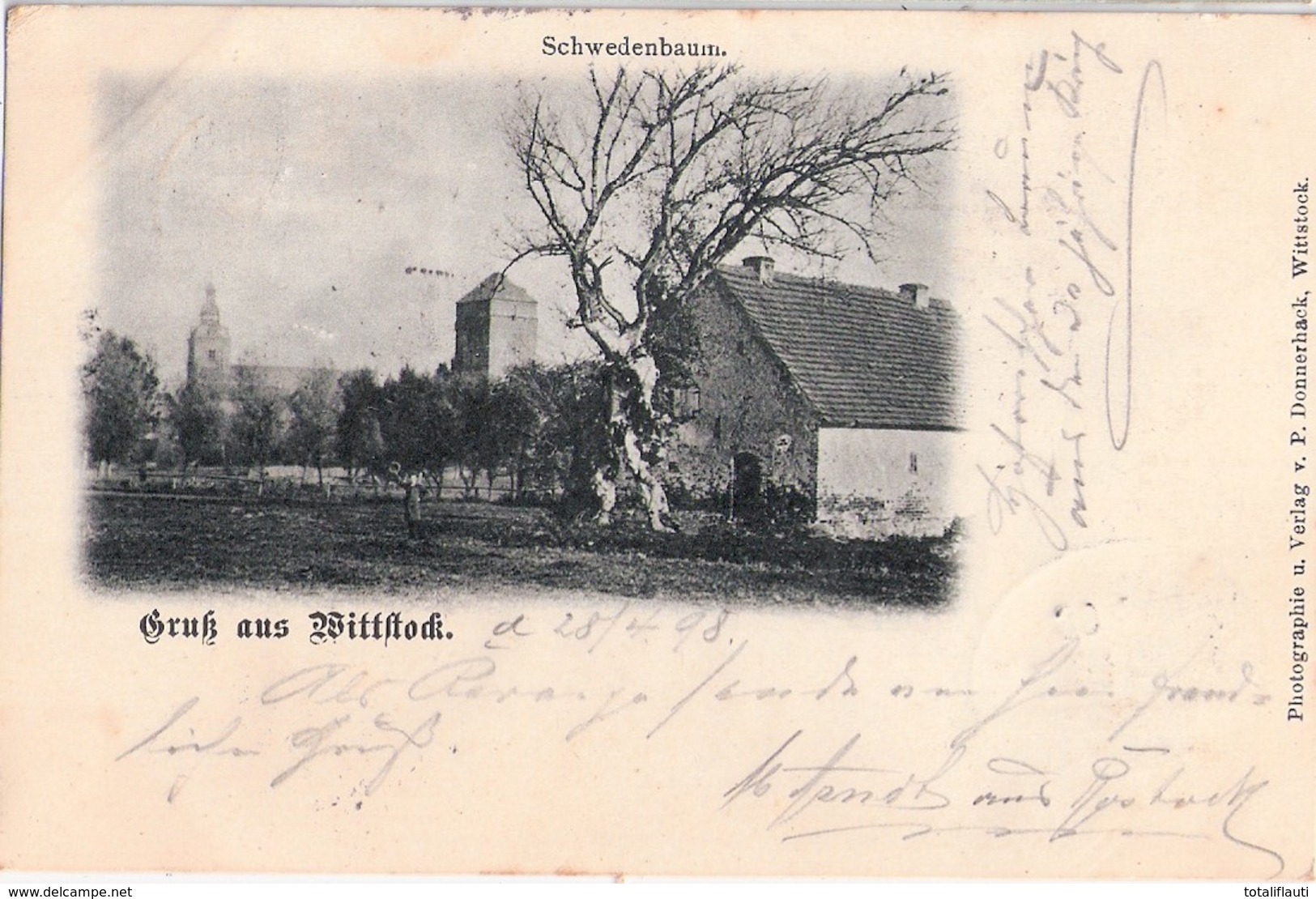 Gruß Aus Wittstock Schwedenbaum Passepartout Bahnpost Deutlich BERLIN - STRALSUND ZUG 904 30.4.1898 Gelaufen - Wittstock