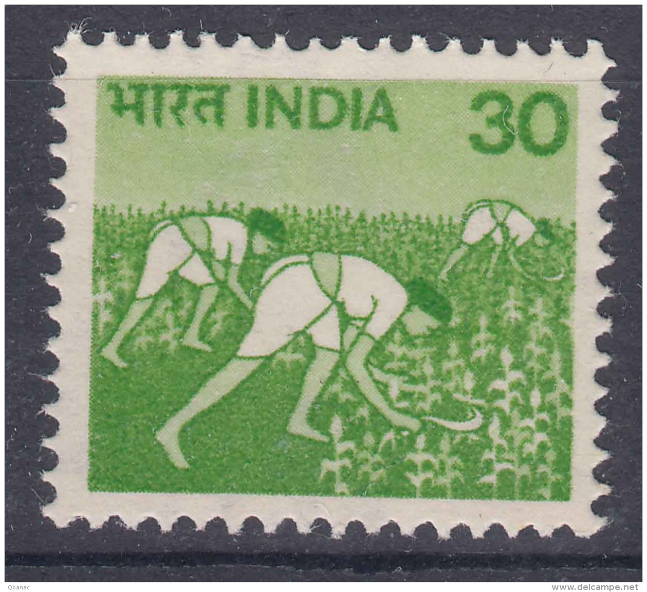 India 1979 Mi#794 Mint Never Hinged - Unused Stamps