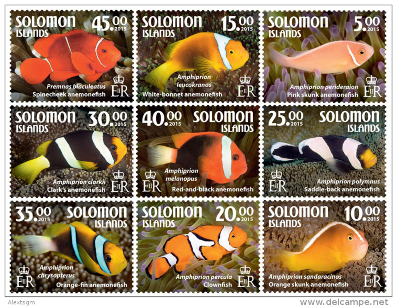 SOLOMON Isl. 2015 - Anemone Fish, 9 V - Fishes