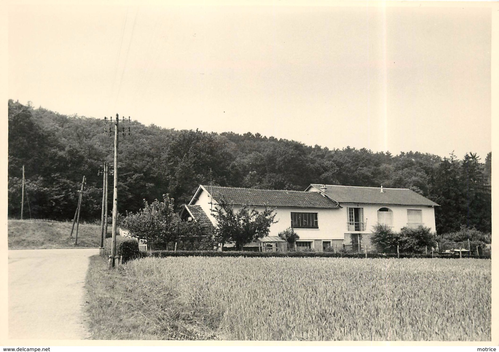 BOISSY LA RIVIERE - Relais De Bierville En 1955 (photo 13x18cm Environ ). - Lieux