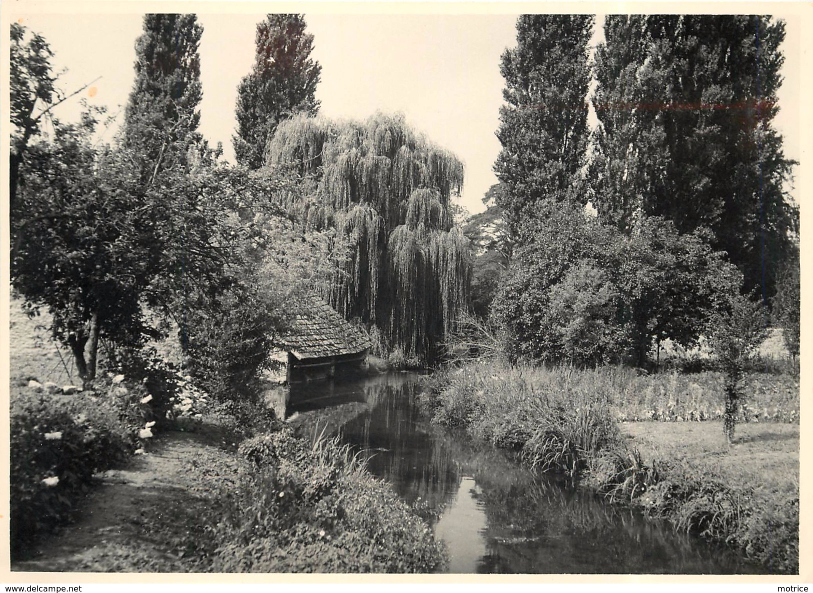 SACLAS (91) -Lavoir Au Bord De La Juine En 1955 (photo 13x18cm Environ ). - Lieux