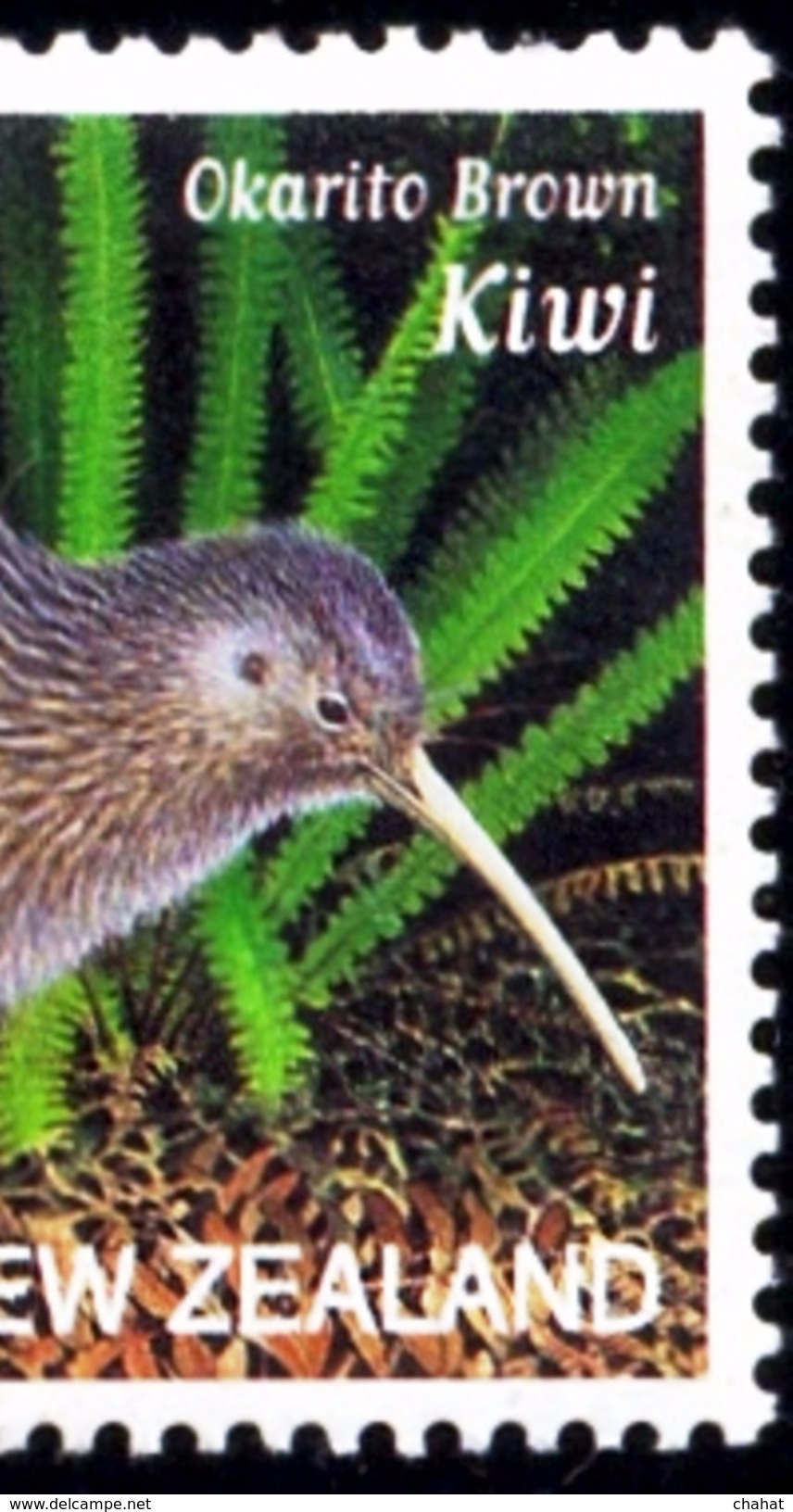 FLIGHTLESS BIRDS-KIWI-COLOR SEPARATION-ERROR-TRIALS-SET OF 5-JOINT ISSUE WITH FRANCE-NEW ZEALAND-2000-SG-2375-MNH-PA-06 - Kiwi