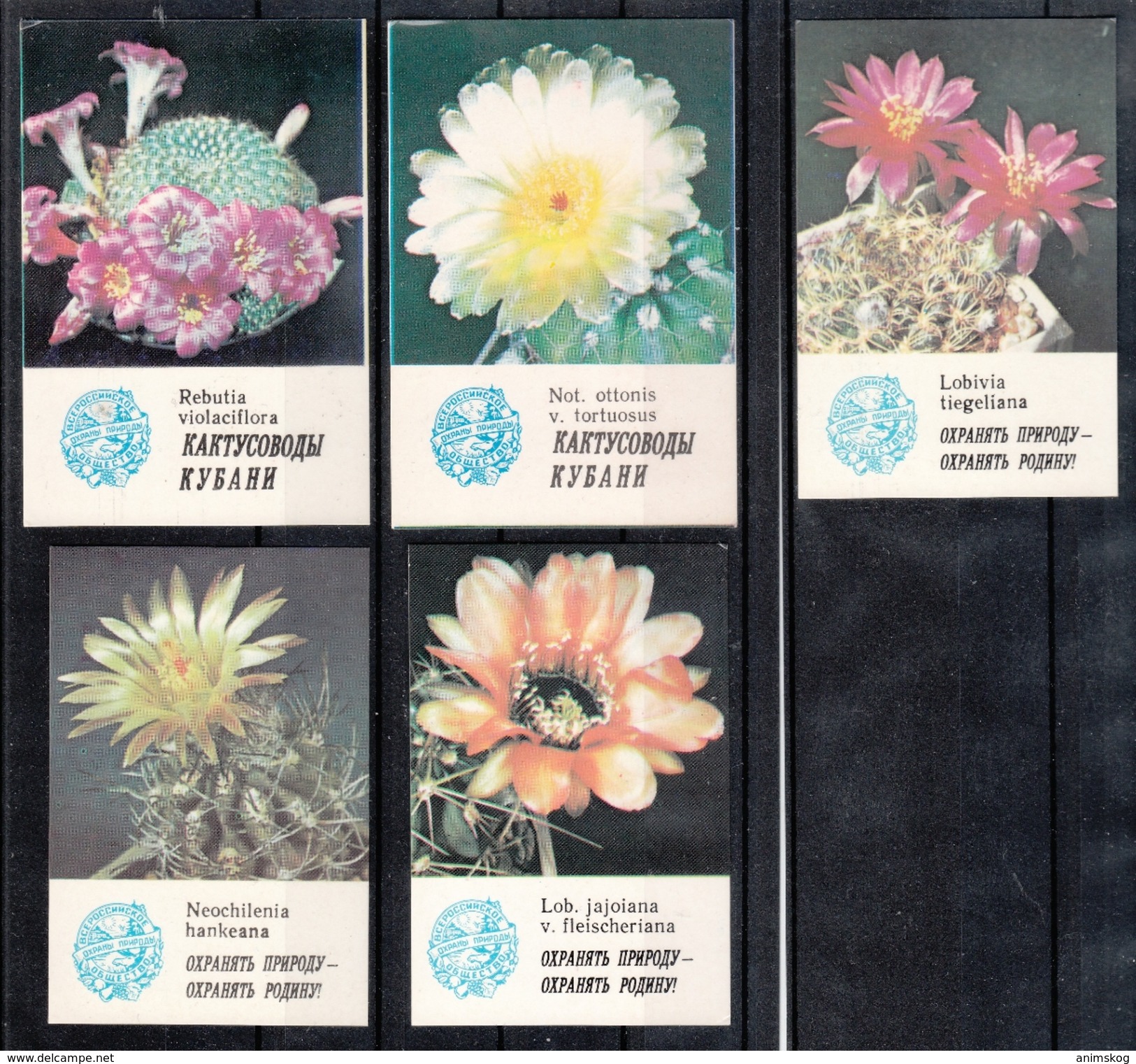 UdSSR 1985, 9 Taschenkalender Kaktusmotive, Naturschutz / USSR 1985, 9 Pocket Calendars, Cactus Motifs, Prot. Of Nature - Other & Unclassified