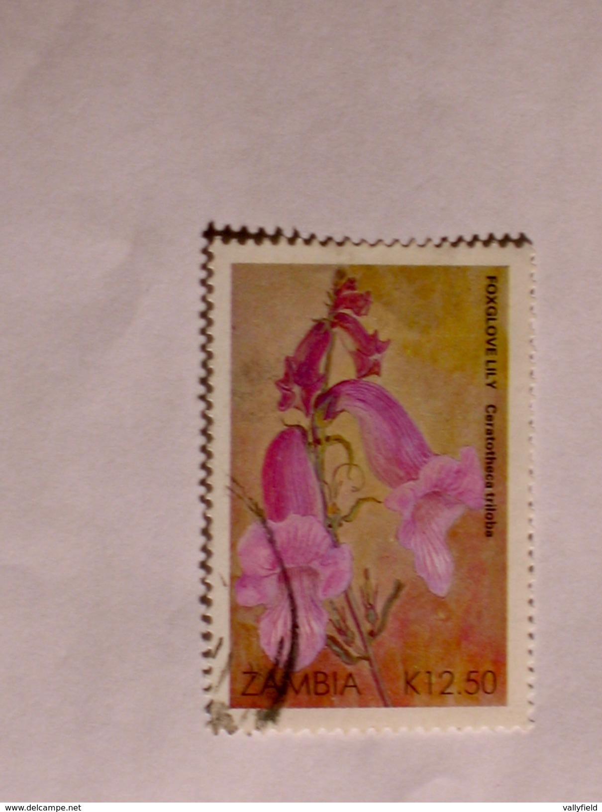 ZAMBIE 1989  LOT# 6  FLOWER - Zambie (1965-...)