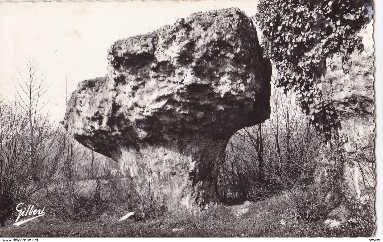 VILLEBOIS-LAVALETTE Et Ses Environs. - Le Champignon De Gardes. CPSM - Autres & Non Classés