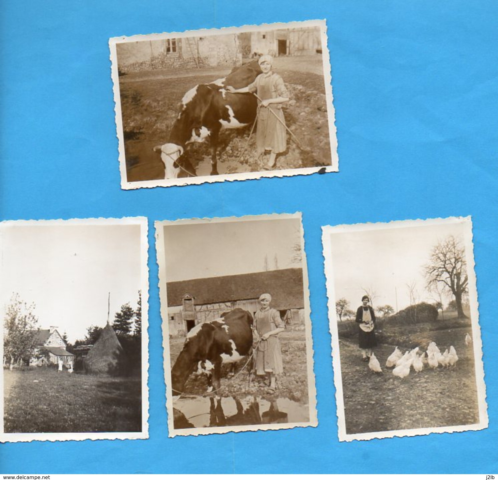 2223 - Mûr De Bretagne - Côte Du Nord - Une Ferme - Poule Vache - 4 Photos - Lieux