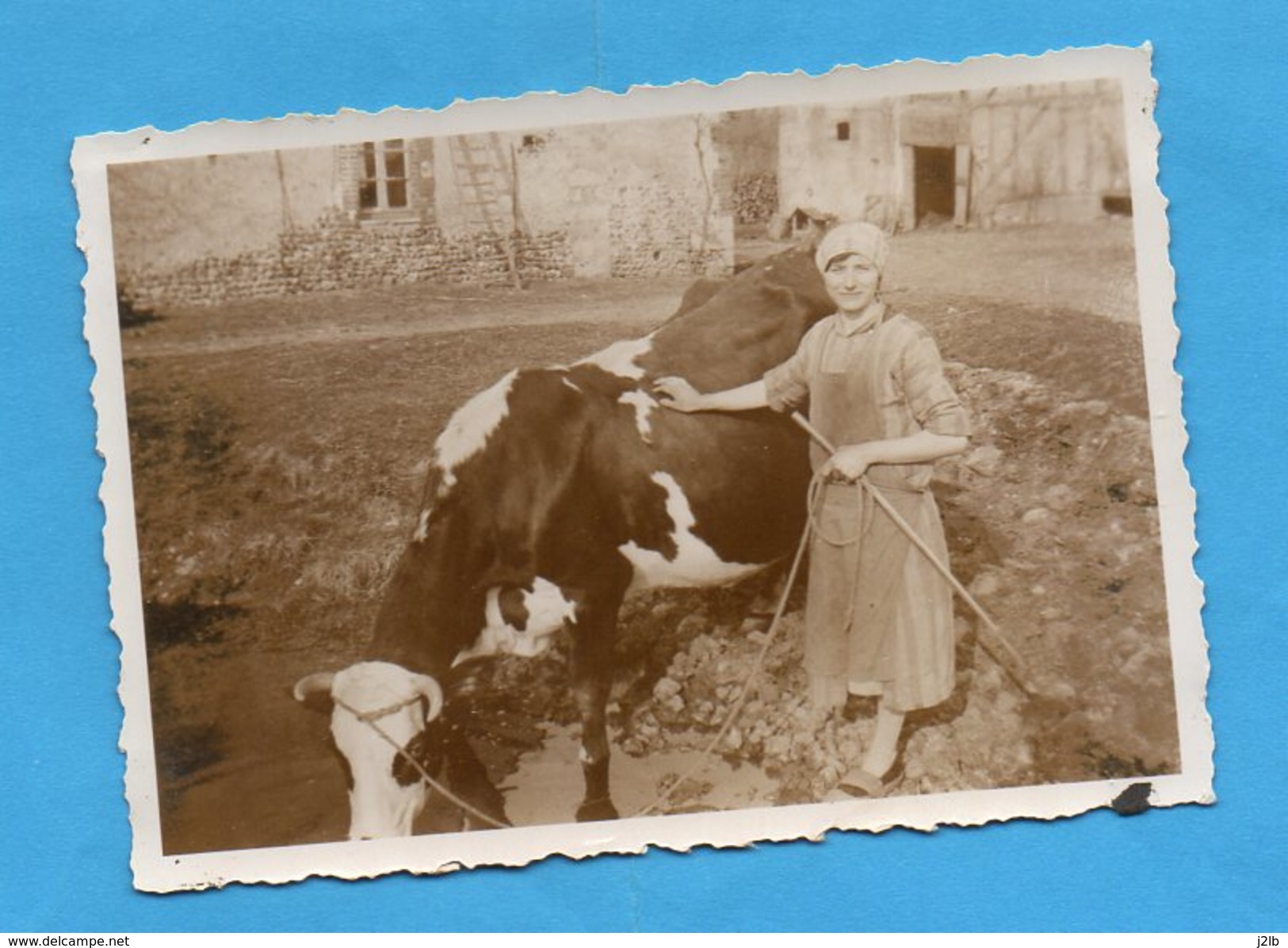 2223 - Mûr De Bretagne - Côte Du Nord - Une Ferme - Poule Vache - 4 Photos - Lieux