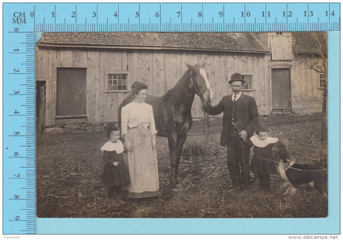 Carte Postale -  Photo De Famille + Cheval, Cir:1910 , Photo L. Gobeille Montreal Quebec - Post Card, Cartolina  2 Scans - Photographie