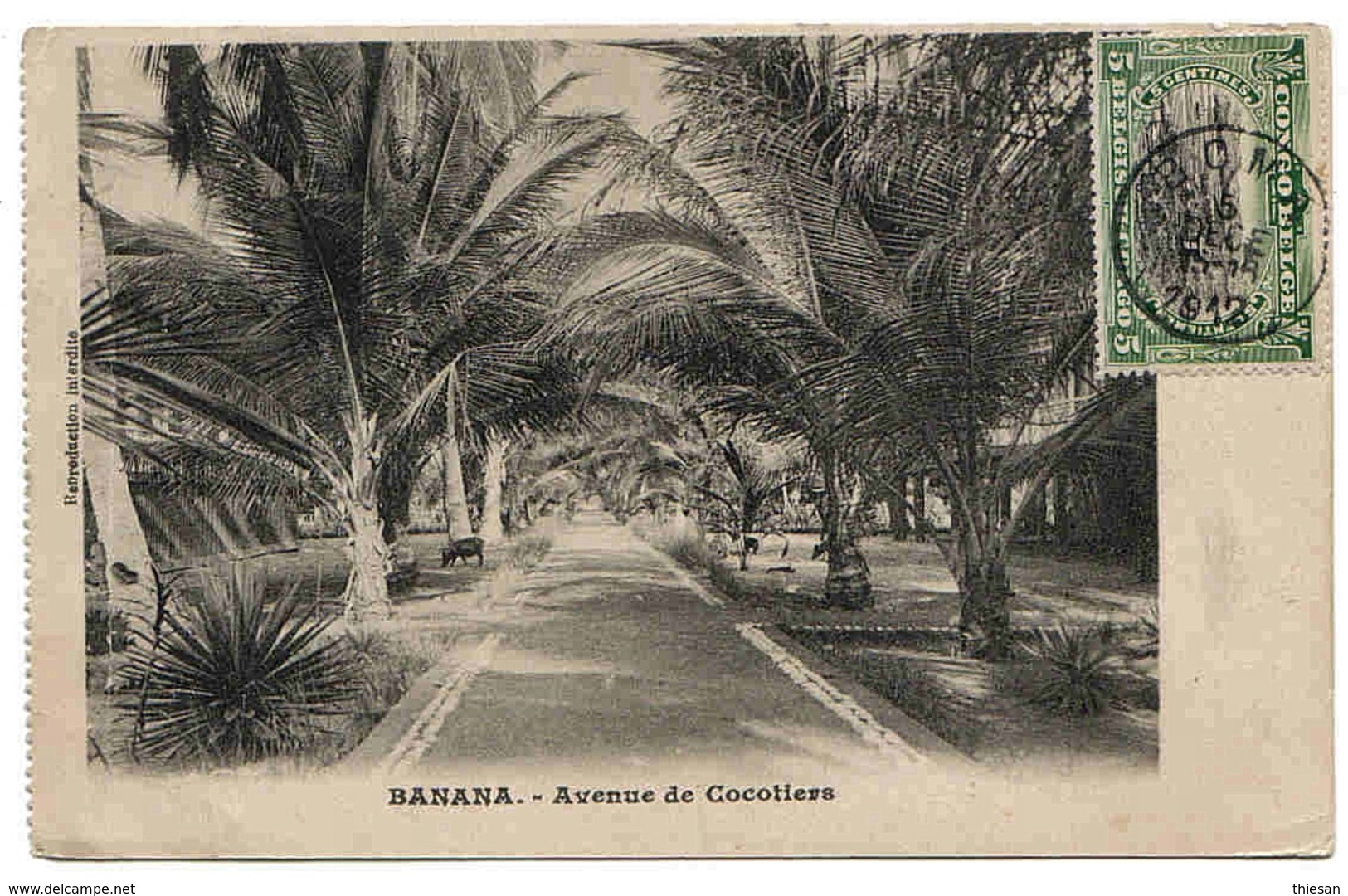 Congo Belge Carte Boma 1912 / Banana Lettre Cover Carta - Briefe U. Dokumente