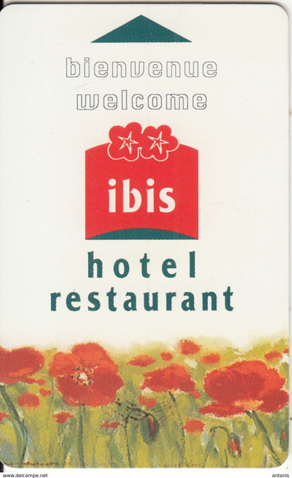 FRANCE - Ibis, Hotel Keycard, Used - Chiavi Elettroniche Di Alberghi